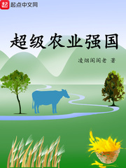 超級辳業強國小說封面